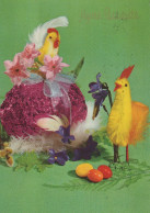 PASQUA POLLO UOVO Vintage Cartolina CPSM #PBO713.A - Pasqua