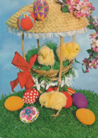 EASTER CHICKEN EGG Vintage Postcard CPSM #PBO611.A - Pasqua