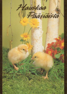 OSTERN HUHN EI Vintage Ansichtskarte Postkarte CPSM #PBO690.A - Pasqua