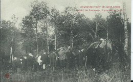 CHASSE EN FORET DE SAINT SEVER - Hallali! Les Promeneurs Ligne Des Pins - Caza