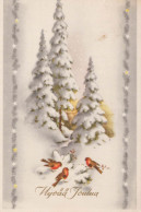 Happy New Year Christmas BIRD Vintage Postcard CPA #PKE851.A - Nouvel An