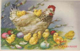 EASTER CHICKEN EGG Vintage Postcard CPA #PKE381.A - Pâques