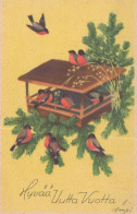 Happy New Year Christmas BIRD Vintage Postcard CPSMPF #PKD750.A - Nouvel An
