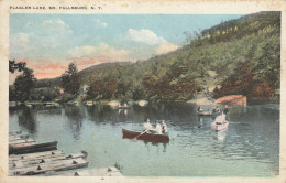 USA204  --  FLAGLER LAKE  --  SO, FALLSBURG, N. Y.   --  1924 - Sonstige & Ohne Zuordnung