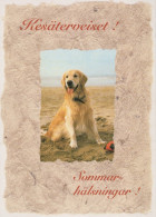 CHIEN Animaux Vintage Carte Postale CPSM #PAN910.A - Chiens