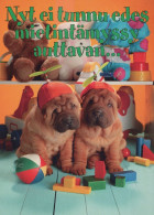 DOG Animals Vintage Postcard CPSM #PAN562.A - Hunde
