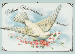 PÁJARO Animales Vintage Tarjeta Postal CPSM #PAN178.A - Birds