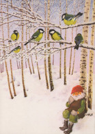 VOGEL Tier Vintage Ansichtskarte Postkarte CPSM #PAM785.A - Pájaros