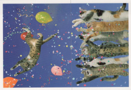 GATTO KITTY Animale Vintage Cartolina CPSM #PAM348.A - Katzen