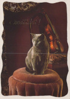 GATTO KITTY Animale Vintage Cartolina CPSM #PAM168.A - Katzen