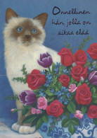 KATZE MIEZEKATZE Tier Vintage Ansichtskarte Postkarte CPSM #PAM190.A - Katzen
