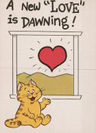GATTO KITTY Animale Vintage Cartolina CPSM Unposted #PAM138.A - Katzen