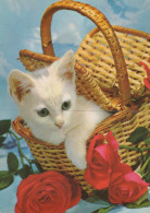 GATO GATITO Animales Vintage Tarjeta Postal CPSM #PAM112.A - Cats