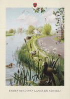 BIRD Animals Vintage Postcard CPSM #PBR579.A - Birds