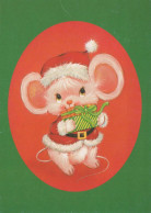 MOUSE Animals Vintage Postcard CPSM #PBR239.A - Other & Unclassified