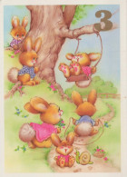 RABBIT Animals Vintage Postcard CPSM #PBR099.A - Other & Unclassified