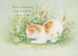 GATTO KITTY Animale Vintage Cartolina CPSM #PBQ975.A - Katzen