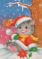 GATTO KITTY Animale Vintage Cartolina CPSM #PBQ860.A - Cats