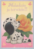 DOG Animals Vintage Postcard CPSM #PBQ703.A - Cani