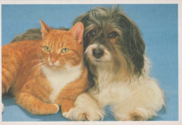 HUND Tier Vintage Ansichtskarte Postkarte CPSM #PBQ492.A - Dogs