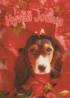 DOG Animals Vintage Postcard CPSM #PBQ518.A - Cani