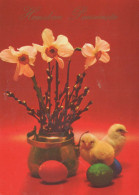 PÂQUES POULET ŒUF Vintage Carte Postale CPSM #PBO754.A - Easter
