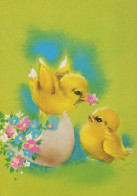 PÂQUES POULET ŒUF Vintage Carte Postale CPSM #PBO679.A - Easter