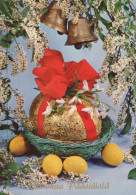 PASQUA UOVO Vintage Cartolina CPSM #PBO153.A - Easter