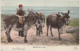 ÂNE Animaux Enfants Vintage Antique CPA Carte Postale #PAA230.A - Donkeys
