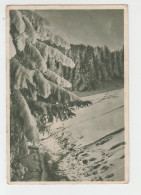 Romania - Muntii Bucegi Climbing Alpinism Climb Escalade Bergsteigen Klettern Winter Landscape Paysage D'hiver - Roumanie