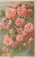 FLEURS Vintage Carte Postale CPA #PKE499.A - Blumen