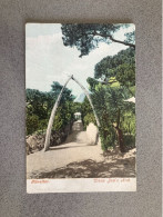 Gibraltar Whale Jaw's Arch Carte Postale Postcard - Gibraltar