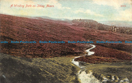 R158989 A Winding Path On Ilkley Moors - Monde