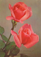 FLOWERS Vintage Postcard CPSM #PAS154.GB - Blumen