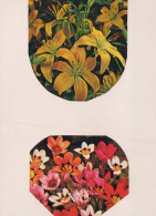 FLOWERS Vintage Postcard CPSM #PAR312.GB - Blumen