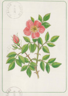 FLOWERS Vintage Postcard CPSM #PAR493.GB - Blumen