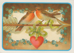 OISEAU Animaux Vintage Carte Postale CPSM #PAN175.FR - Uccelli