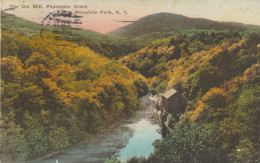 USA205  --  THE OLD  MILL --  POPOLOPEN CREEK  --  BEAR MOUNTAIN PARK , N. Y.  --  1930 - Sonstige & Ohne Zuordnung