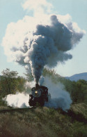 Transport FERROVIAIRE Vintage Carte Postale CPSMF #PAA397.FR - Eisenbahnen