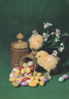 EASTER CHICKEN EGG Vintage Postcard CPSM #PBO729.GB - Pâques