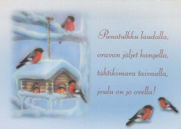 Happy New Year Christmas BIRD Vintage Postcard CPSM #PBA604.GB - Nouvel An