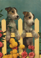 PERRO Animales Vintage Tarjeta Postal CPSM #PAN749.ES - Dogs