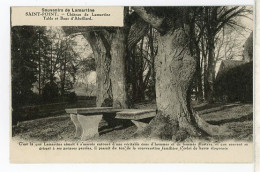 71 SAINT-POINT ++ Château De Lamartine - Table Et Banc D'Abeillard ++ - Sonstige & Ohne Zuordnung