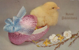 PÂQUES POULET ŒUF Vintage Carte Postale CPA #PKE429.FR - Pasqua