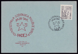 .Yugoslavia, 1963-07-06, Serbia, Padej, WWII, Warrior Sava Bajin, Special Postmark & Card - Other & Unclassified