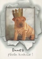 HUND Tier Vintage Ansichtskarte Postkarte CPSM #PAN753.DE - Chiens