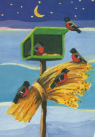 VOGEL Tier Vintage Ansichtskarte Postkarte CPSM #PAM806.DE - Birds