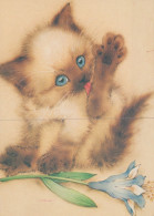 KATZE MIEZEKATZE Tier Vintage Ansichtskarte Postkarte CPSM #PAM177.DE - Cats