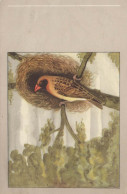 PÁJARO Animales Vintage Tarjeta Postal CPA #PKE804.ES - Oiseaux