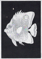 PESCADO Animales Vintage Tarjeta Postal CPSM #PBS868.ES - Pesci E Crostacei